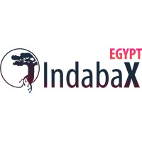 IndabaXEgypt Logo