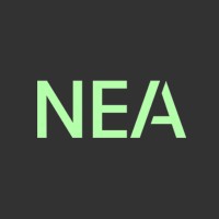 NEA Management-Beratung Logo