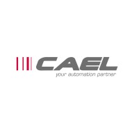Cael s.r.l. Logo