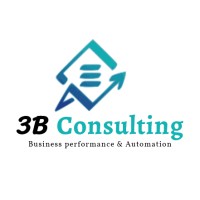 3B Consulting fr Logo