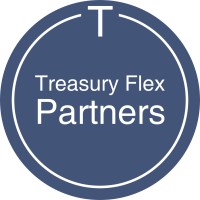 Treasury Flex Partners BV Logo