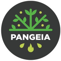 PANGEIA.ECO Logo