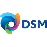 DSM Twilmij Netherlands Logo
