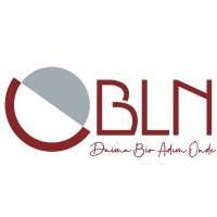 BLN Customs Brokerage & Logistics Logo