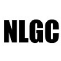 Nolimt Galaxy Consulting Group Logo