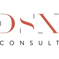 DSXConsult Logo
