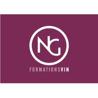 NG Vin Logo