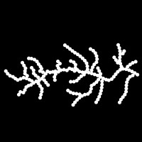 Babyn Yar Holocaust Memorial Center (BYHMC) Logo