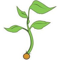 Faith Montessori School (Co-op) Logo