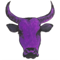 Capitalist Party of South Africa Logo