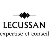 LECUSSAN - Cabinet dexpertise comptable Logo