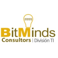 BitMinds Consultors Logo