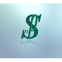 New Problem Solving S.r.l. Logo