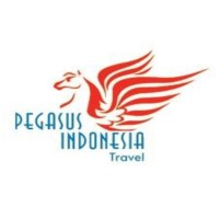 Pegasus Indonesia Travel Logo