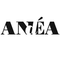 ANdÉA Association nationale des écoles supérieures dart Logo