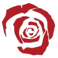Studi Medici e Odontoiatrici Rosi&Partners Logo