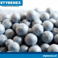 Stybenex Logo