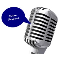 VoicePerfect Logo