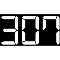 307 Logo