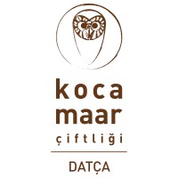 Kocamaar Logo