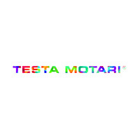 TESTA MOTARI Automotive GmbH Logo