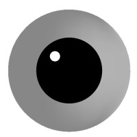 Fascinating Academy Radima Paříka Logo