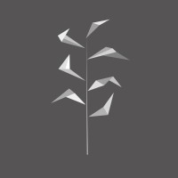 Riga Youth Initiative foundation Logo