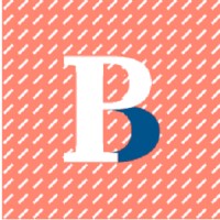 Boraita y Pérez Formación Logo