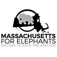 Massachusetts for Elephants Logo