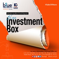 Blue Financial Services Ghana Ltd. Logo