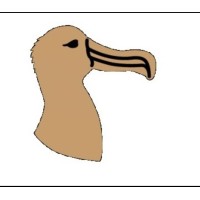 Albatross Daycare Logo