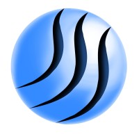 MCSI/Saigh Solutions, LLC Logo