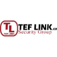 TEF LINK Security Group Inc Logo