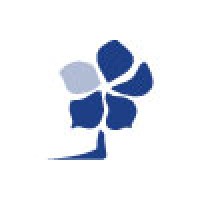 Mediawest Srl Logo