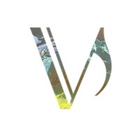 Fondation du Verbier Festival Logo