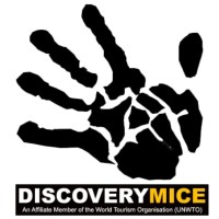 DISCOVERYMICE Logo