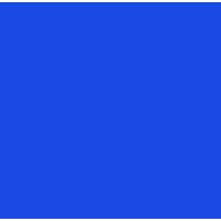 DSM Sinochem Pharmaceuticals Logo