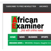 African Examiner Logo