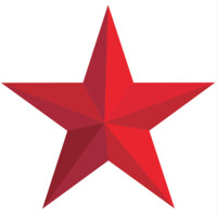 The No Nonsense Group Logo