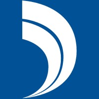 Dynamic Network Solutions Inc. Logo