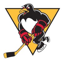 Wilkes-Barre/Scranton Penguins Logo