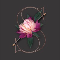 Saltmine Creative Logo