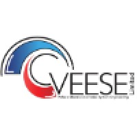 VEESE LTD Logo