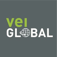 VEI Global Ltd Logo