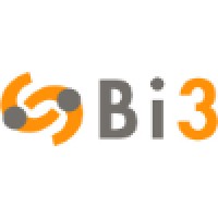 Bi3 S.r.l. Logo