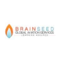 Brainseed Global Aviation, L.L.C. Logo
