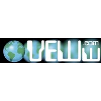 Validation Engineering Worldwide Logo