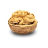 Smartbrains Polska Logo