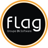 Flag Systemes - Groupe DL Software Logo