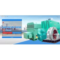 Shanghai Pinnxun Electric Motor Co.,ltd Logo
